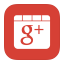 MetroUI Google plus Alt 2 icon