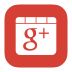 MetroUI-Google-plus-Alt-2 icon