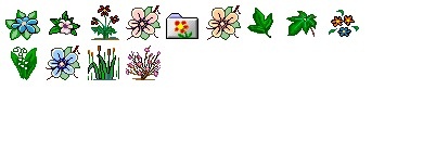 Flower 1 Icons