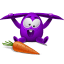 Violet rabbit icon