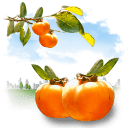 Fruits-Persimmon icon