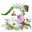 Flowers-Wildflowers icon