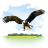 Animals-Eagle icon