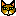 Orange-tabby-cat icon