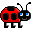 Lady bug icon