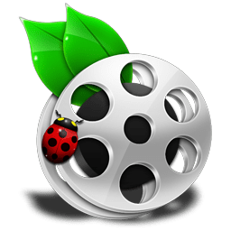 File Movie icon