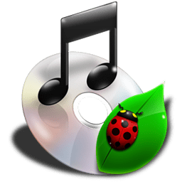 File Music icon