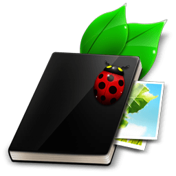 ladybug PNG image transparent image download, size: 256x256px