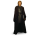 Anakin-Jedi-01 icon