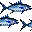 Atlantic blue fintuna icon