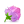 Box 22 Rose Pink icon