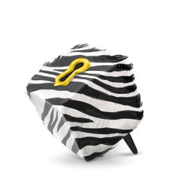 Box 17 Zebra icon