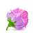 Box-22-Rose-Pink icon