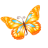 Butterfly-orange icon