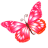 Butterfly-pink icon