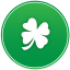 St patricks day clover icon