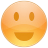 Misc-Smiley icon