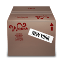 Shipping Box New York icon