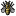 Honey-Bee icon