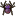 Jumping-Spider icon