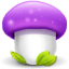Mushroom purple icon