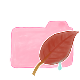 Folder Candy Leaf icon
