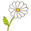 Osd-flower icon