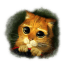 Puss 3 icon