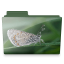 Butterfly folder icon