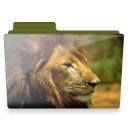 Lion folder icon