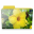 Flower folder icon