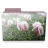 Flowers folder icon