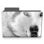 Wolf-folder icon
