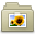 Lightbrown-Pictures icon
