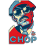 CHOP v2 icon