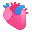 Anatomical Heart 3d icon