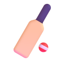 Cricket Game 3d icon
