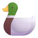 Duck-3d icon