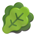 Leafy Green 3d icon