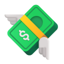 Money With Wings 3d icon