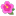 Hibiscus 3d icon