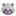 Raccoon 3d icon
