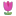 Tulip 3d icon