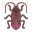 Cockroach 3d icon