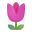 Tulip 3d icon