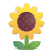 Sunflower 3d icon
