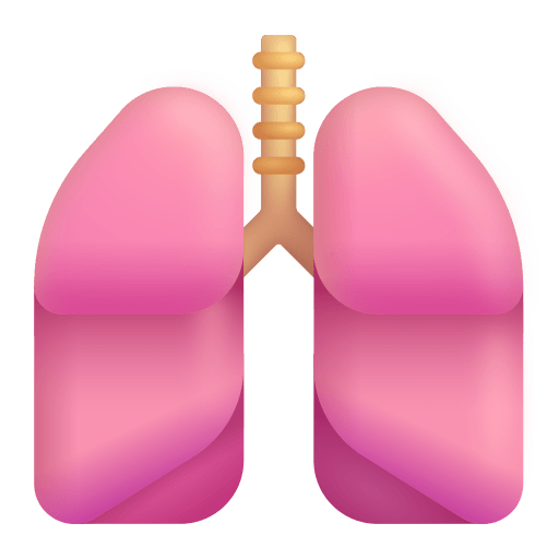 Lungs 3d icon