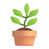 Potted-Plant-3d icon