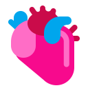 Anatomical Heart Flat icon