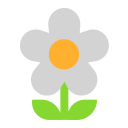 Blossom-Flat icon